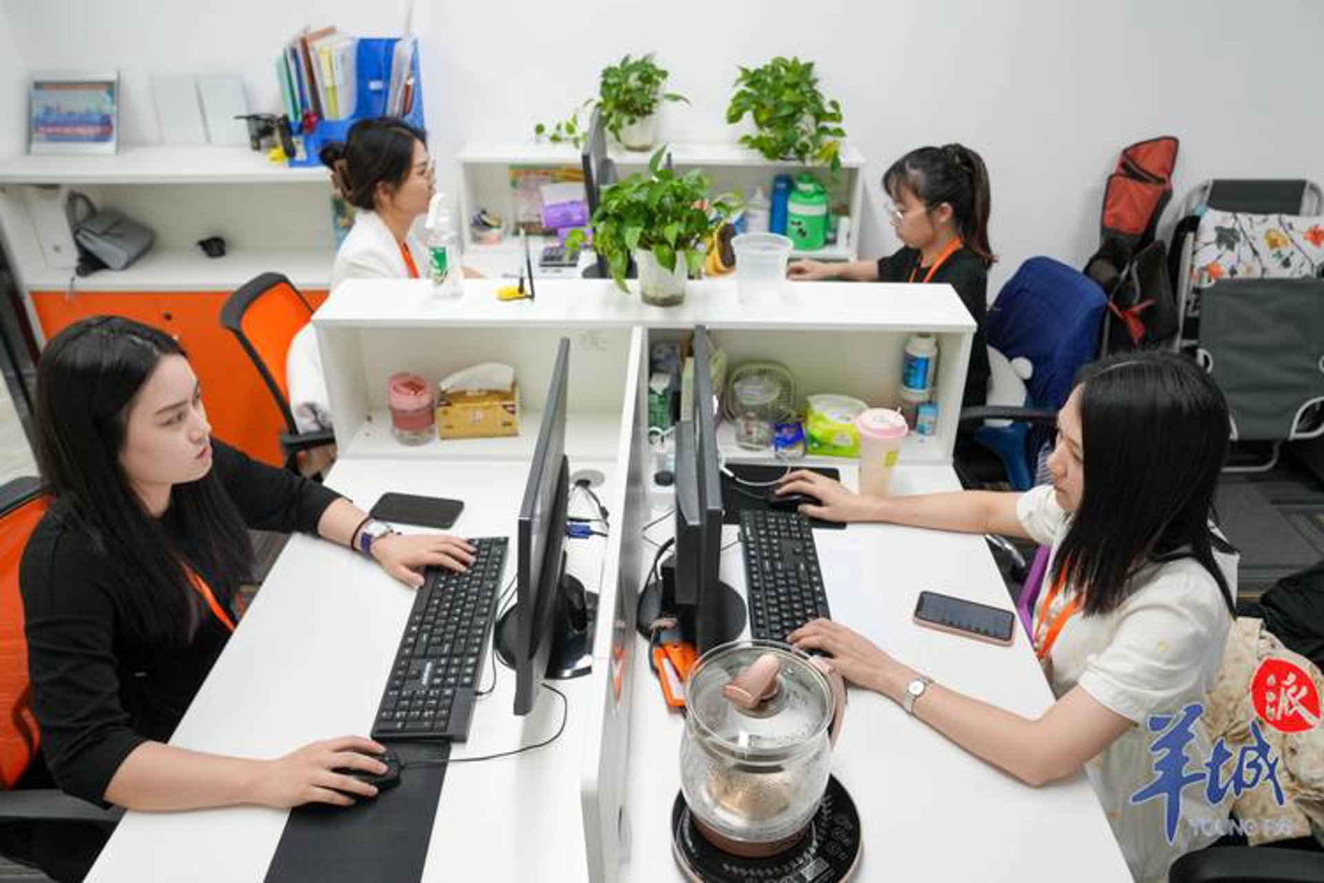 谦禾教育咨询